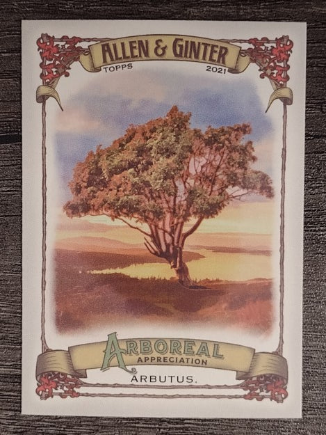 2021 Topps Allen and Ginter Arboreal Appreciation #AA9 Arbutus