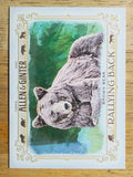 2021 Topps Allen and Ginter Rallying Back #RB9 Brown Bear