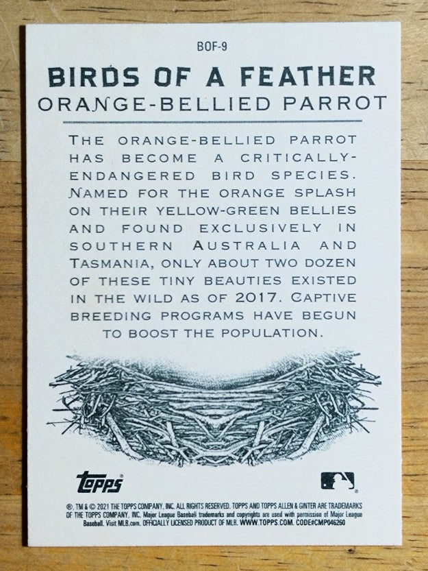 2021 Topps Allen and Ginter Birds of a Feather #BOF9 Orange-Bellied Parrot