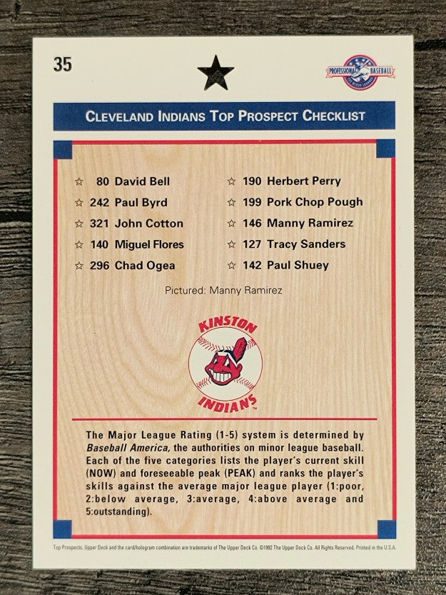 1992 Upper Deck Minors #35 Manny Ramirez TC