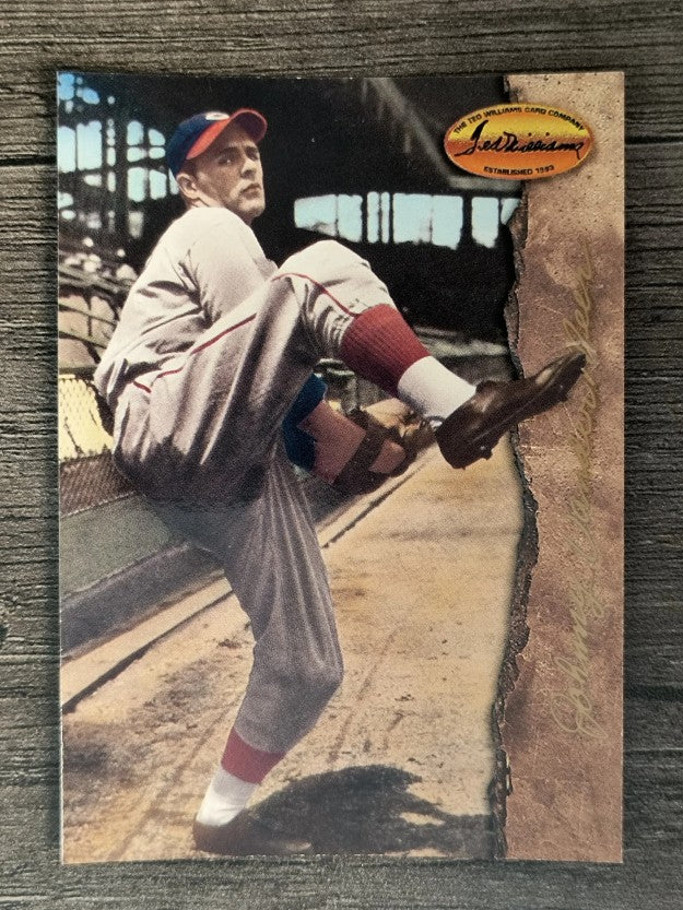 1994 Ted Williams #24 Johnny Vander Meer