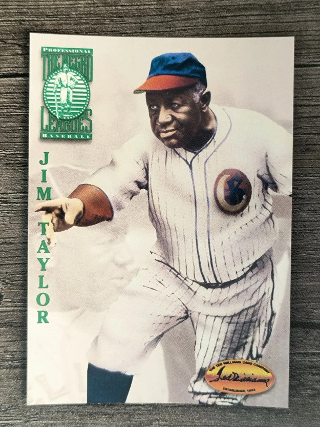 1994 Ted Williams #113 James Taylor