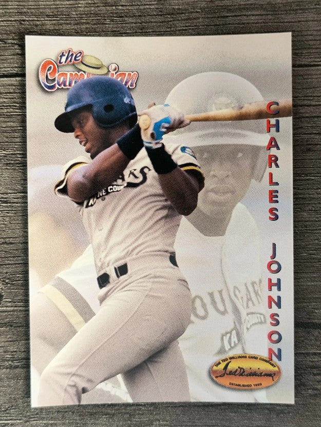 1994 Ted Williams #125 Charles Johnson