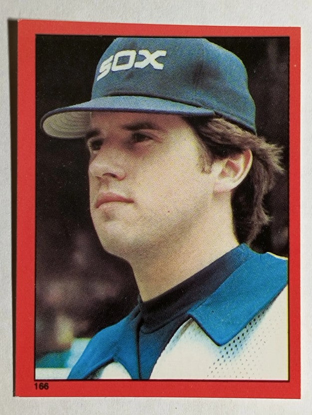 1982 Topps Stickers #166 Rich Dotson
