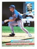 1992 Ultra #523 John Vander Wal