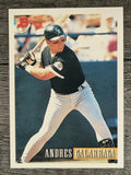 1993 Bowman #204 Andres Galarraga
