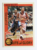 2002-03 Fleer Platinum Guts and Glory #8GG Andre Miller