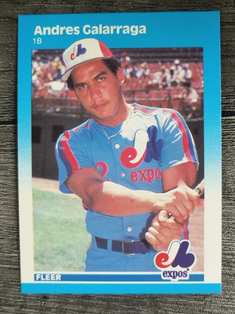 1987 Fleer #319 Andres Galarraga