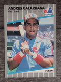 1989 Fleer #376 Andres Galarraga