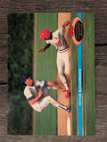 1991 Stadium Club #230 Ryne Sandberg
