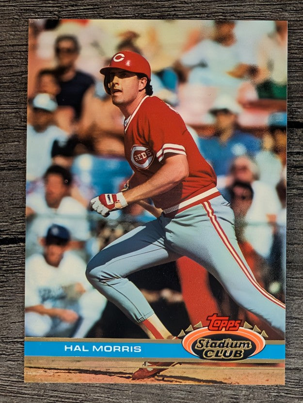 1991 Stadium Club #339 Hal Morris