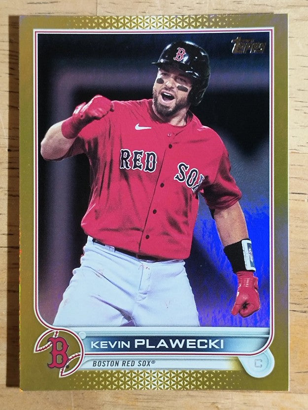 2022 Topps Gold Foil #393 Kevin Plawecki