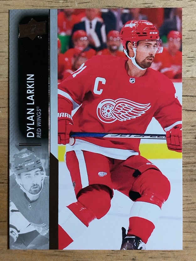 2021-22 Upper Deck #317 Dylan Larkin