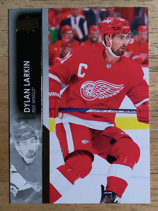 2021-22 Upper Deck #317 Dylan Larkin