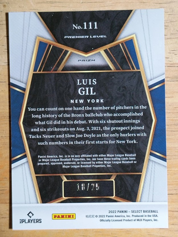 2022 Select Cracked Ice #111 Luis Gil PRM