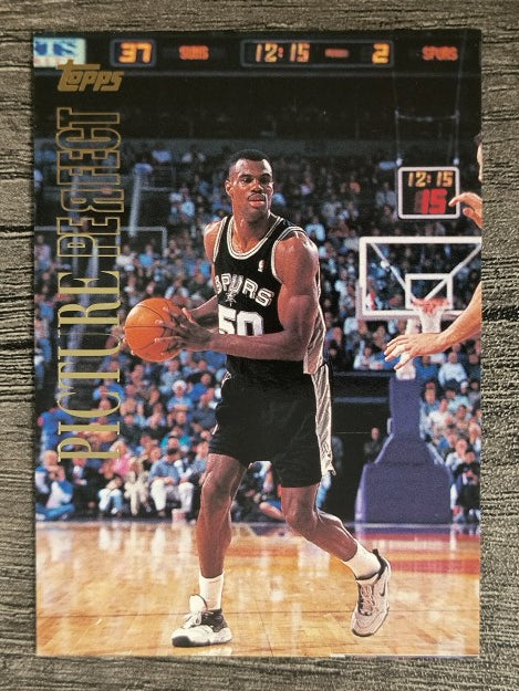 1999-00 Topps Picture Perfect #PIC9 David Robinson
