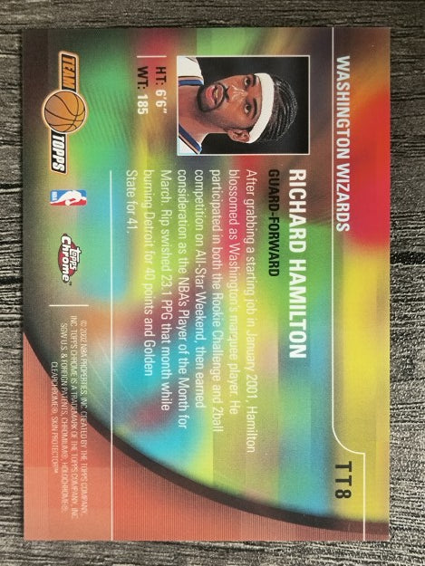 2001-02 Topps Chrome Team Topps #TT8 Richard Hamilton