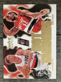 2008-09 Hot Prospects Hot Tandems #HT16 Brandon Roy/Greg Oden