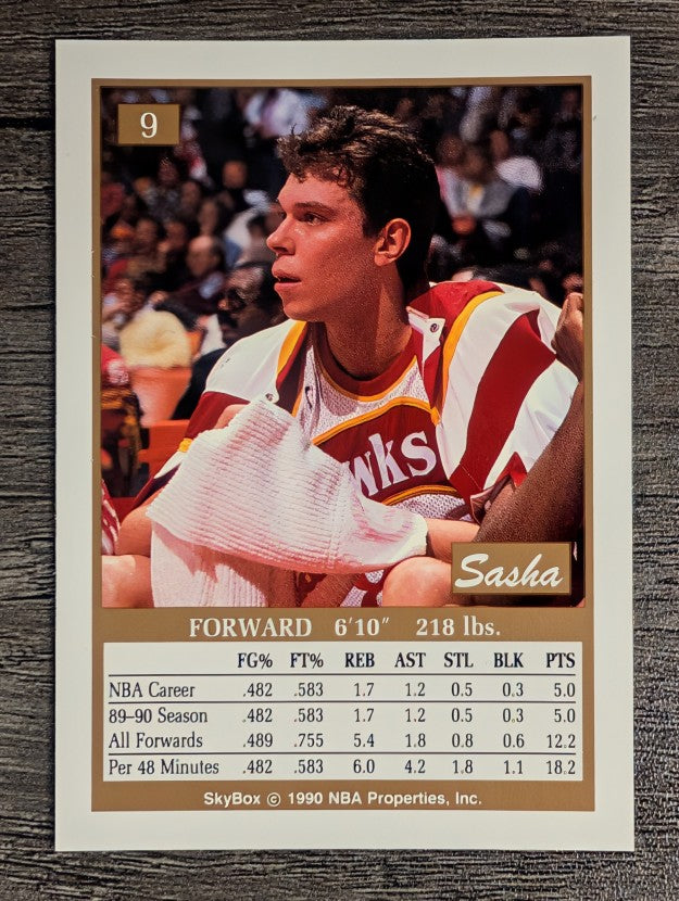 1990-91 SkyBox #9 Alexander Volkov RC