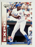 2002 Leaf #125 Vladimir Guerrero