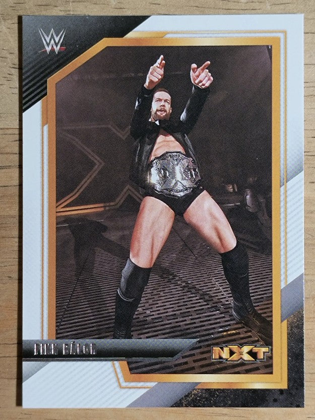 2022 Panini WWE NXT #111 Finn Balor