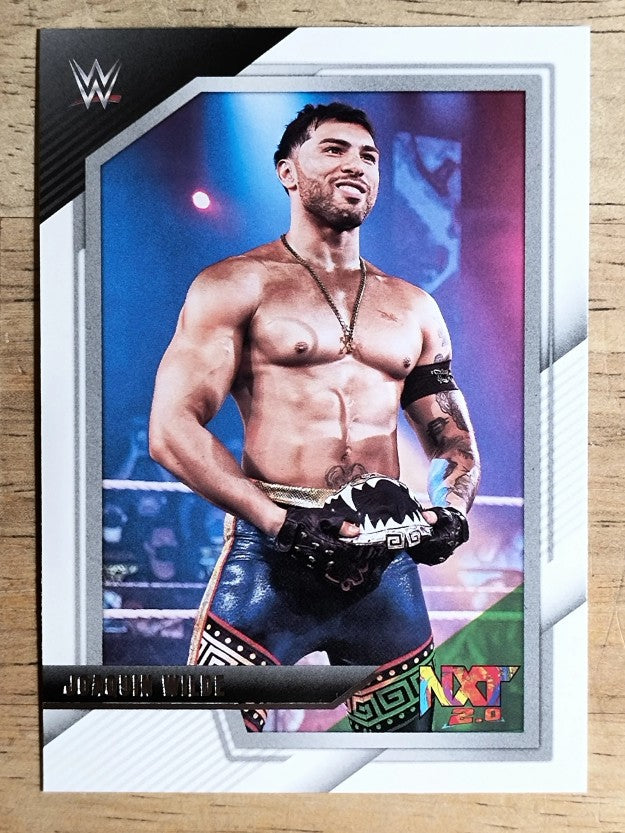 2022 Panini WWE NXT #67 Joaquin Wilde