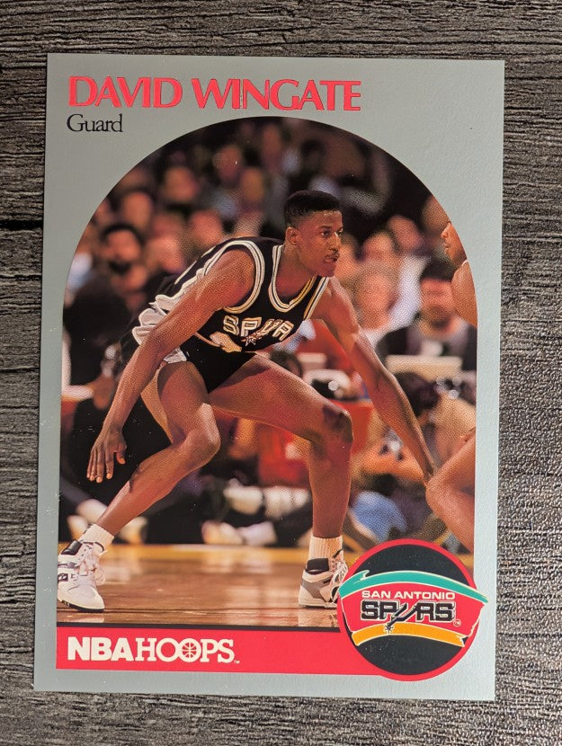 1990-91 Hoops #273 David Wingate SP