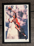 1993-94 SkyBox Premium #321 Scottie Pippen PC