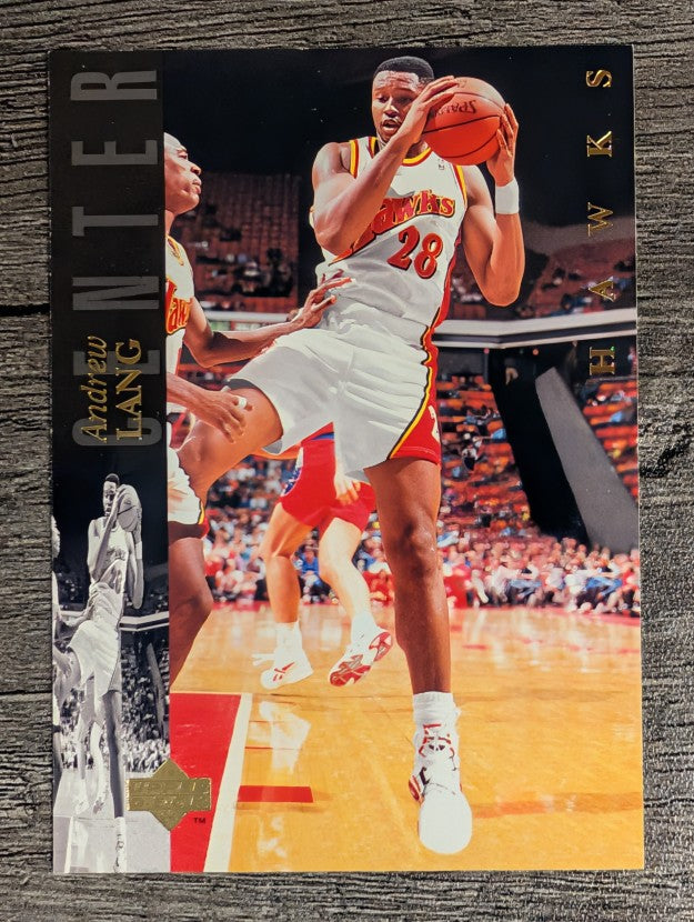 1993-94 Upper Deck SE #176 Andrew Lang