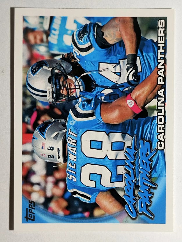 2010 Topps #171 Carolina Panthers Team/Jonathan Stewart/Steve Smith